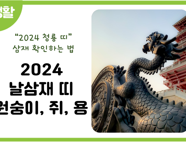 2024년 삼재띠