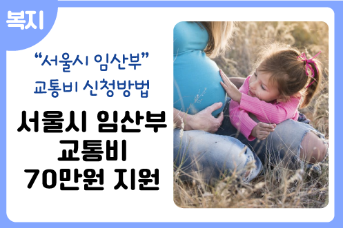 서울시 임산부 교통비 지원